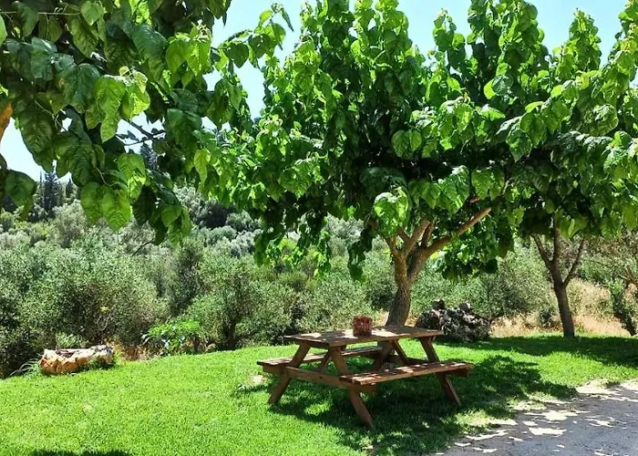 Holiday home Lily Home_lefkada ~ Private Kondaraina